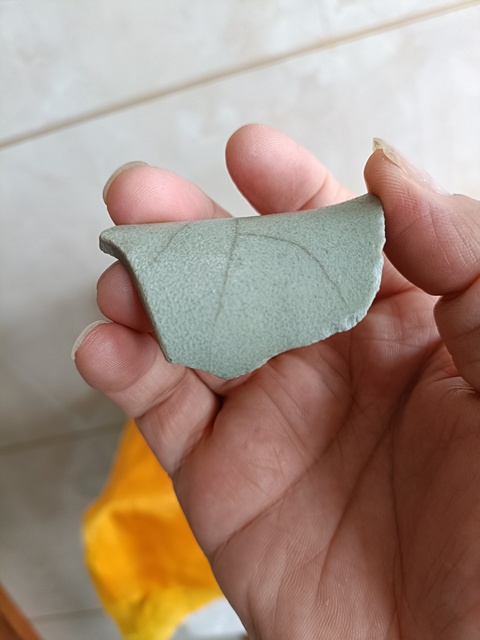 古玩陶瓷宋汝窯標本真品鑒賞圖