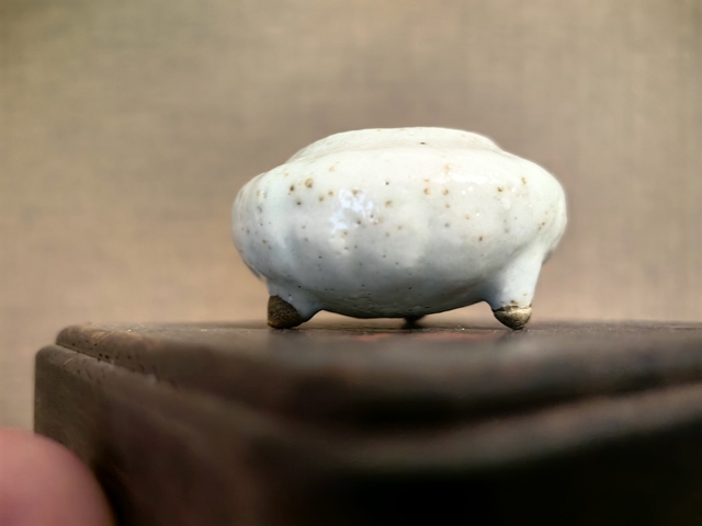 古玩陶瓷清中晚·白釉瓜棱水盂 真品鑒賞圖