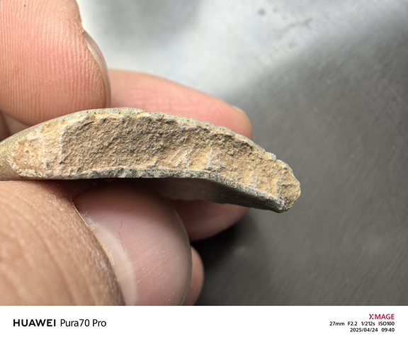 古玩陶瓷瓷片真品鑒賞圖
