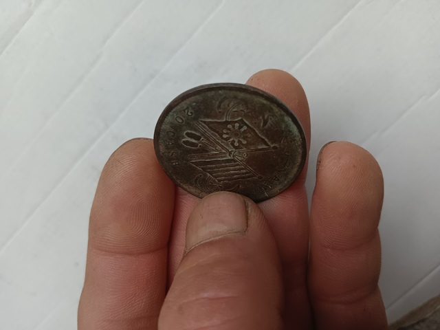 古玩錢幣河南雙旗二十文銅元真品鑒賞圖