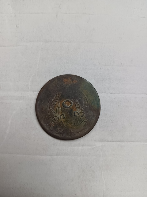 古玩錢幣河南雙旗二十文銅元真品鑒賞圖