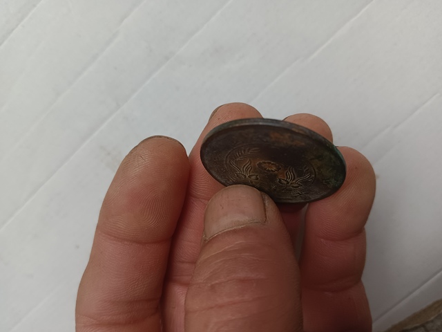 古玩錢幣河南雙旗二十文銅元真品鑒賞圖