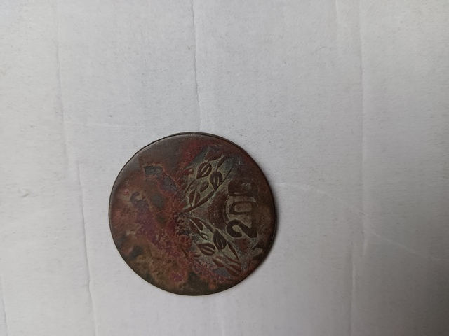 古玩錢幣河南雙旗二十文銅元真品鑒賞圖