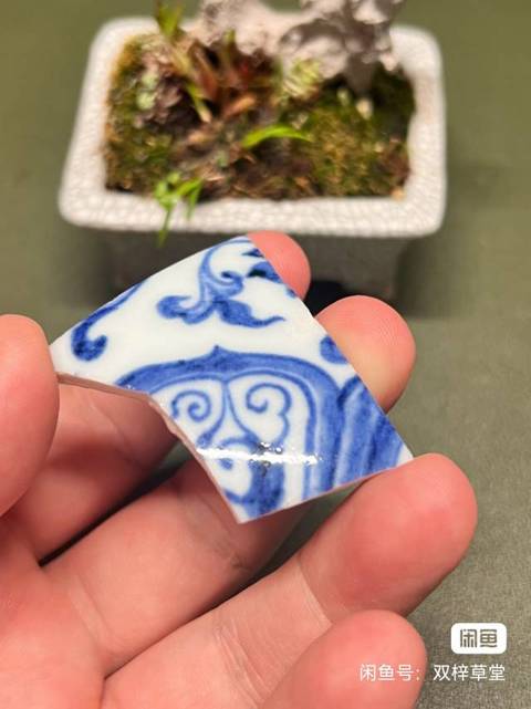 古玩陶瓷永宣青花標本真品鑒賞圖