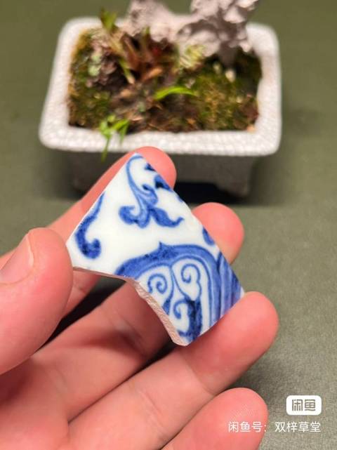 古玩陶瓷永宣青花標本真品鑒賞圖