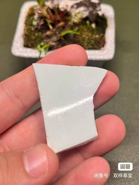 古玩陶瓷永宣青花標本真品鑒賞圖