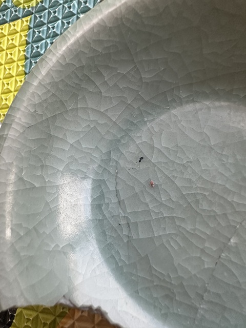古玩陶瓷龍泉青瓷洗真品鑒賞圖