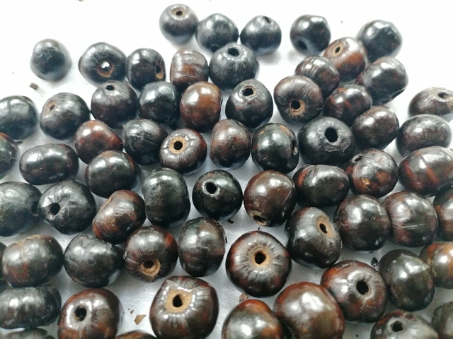 古玩雜項菩提籽真品鑒賞圖