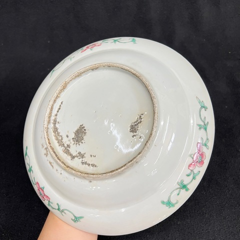 古玩陶瓷松石綠粉彩花卉紋折沿盤真品鑒賞圖