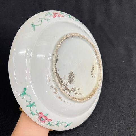 古玩陶瓷松石綠粉彩花卉紋折沿盤真品鑒賞圖