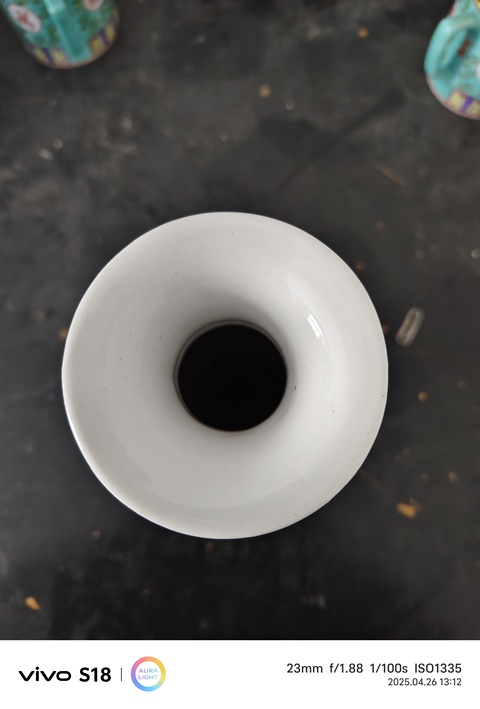 古玩陶瓷 鶴紋觀音瓶真品鑒賞圖