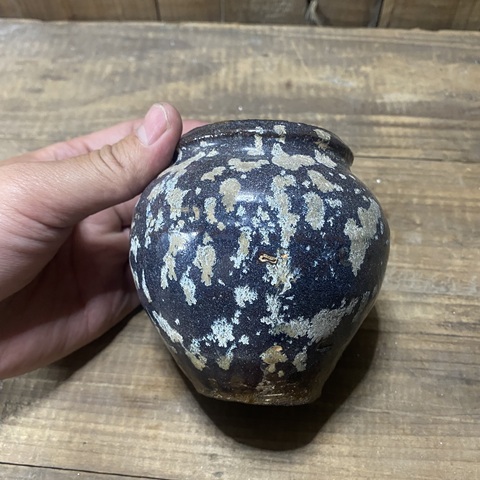 古玩陶瓷罐真品鑒賞圖