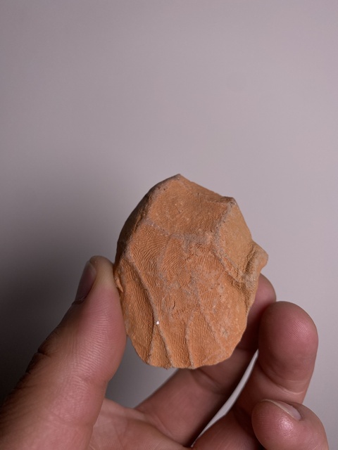 古玩雜項(xiàng)明代.釋迦牟尼佛成道像擦擦拍賣，當(dāng)前價(jià)格0元