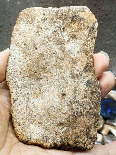 古玩雜項【4500萬年前】文化期.鱷魚盔甲 化 石拍賣,當前價格0元