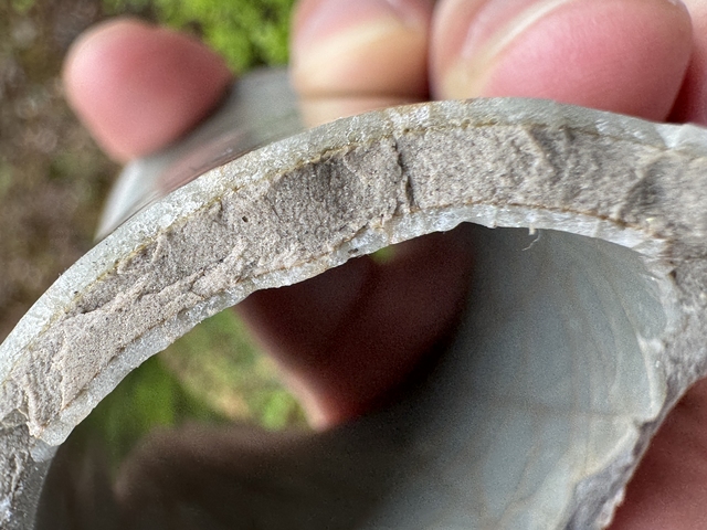 古玩陶瓷罕見南宋龍泉官窯青瓷瓶標本拍賣，當前價格666元