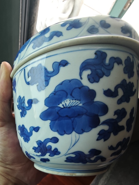古玩陶瓷康熙·青花纏枝花卉紋蓋缸真品鑒賞圖