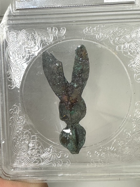 古玩錢幣先秦夏家店文化，兔頭幣拍賣，當前價格598元