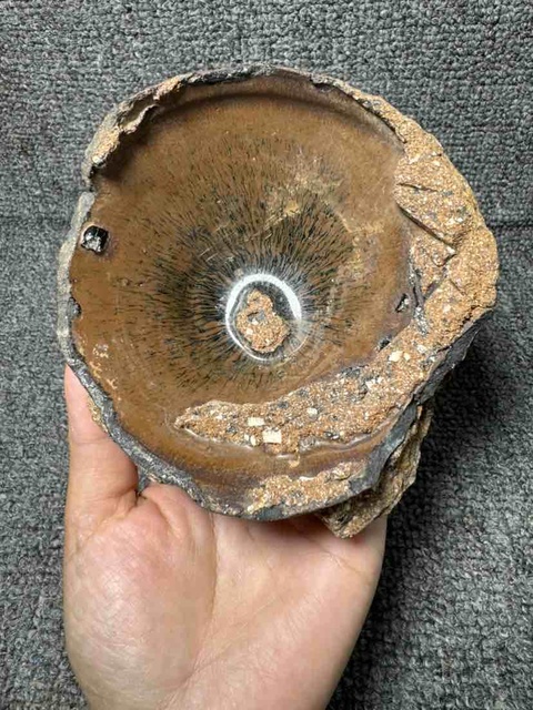 古玩陶瓷南宋紫口鐵胎建窯兔毫盞標本拍賣，當前價格99元