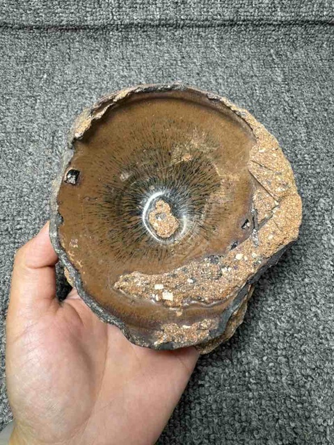 古玩陶瓷南宋紫口鐵胎建窯兔毫盞標本拍賣，當前價格99元