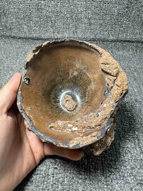 古玩陶瓷南宋紫口鐵胎建窯兔毫盞標本拍賣，當前價格99元