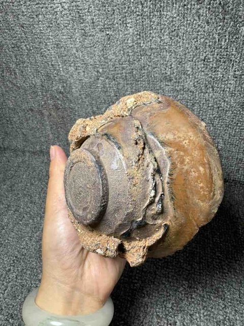 古玩陶瓷南宋紫口鐵胎建窯兔毫盞標本拍賣，當前價格99元