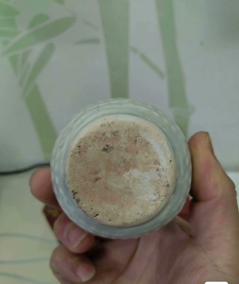古玩陶瓷青白釉箸瓶，模糊，偏老拍賣，當(dāng)前價(jià)格1488元