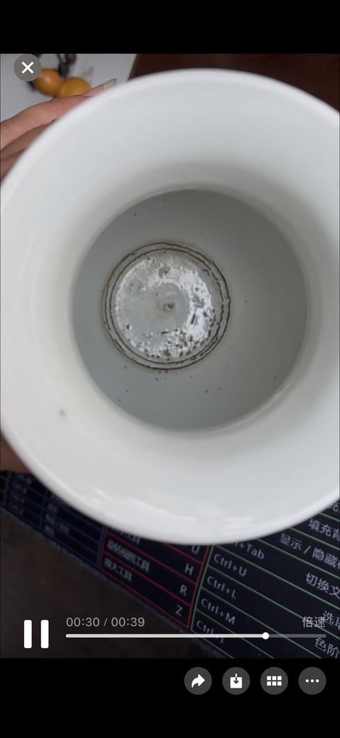古玩陶瓷青花纏枝花卉紋鋪首尊真品鑒賞圖