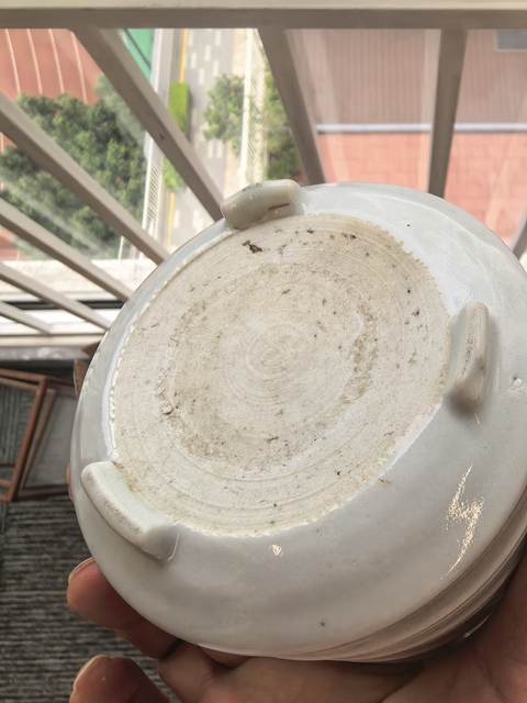 古玩陶瓷幾十年的白釉旋紋德化窯三足爐真品鑒賞圖