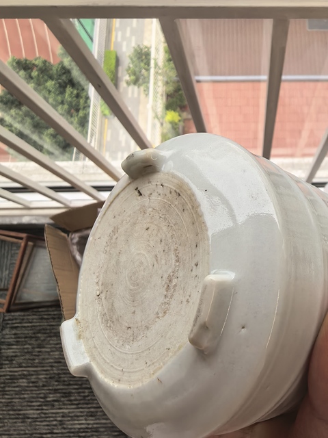 古玩陶瓷幾十年的白釉旋紋德化窯三足爐真品鑒賞圖