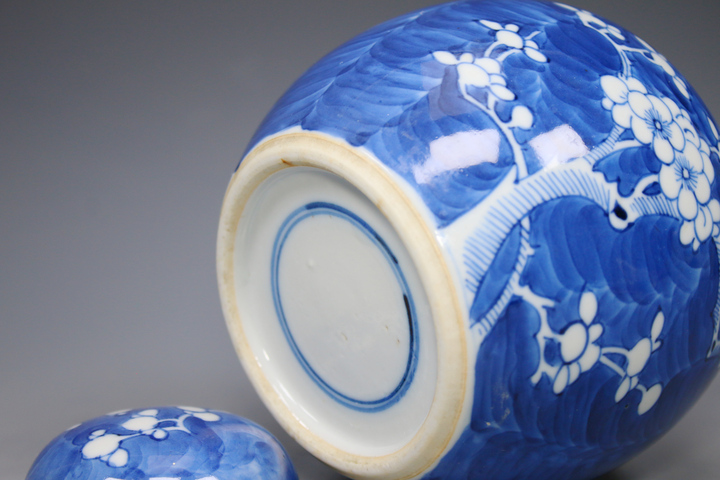 古玩陶瓷清晚期·青花留白折枝冰梅紋蓋罐真品鑒賞圖