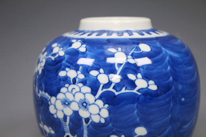 古玩陶瓷清晚期·青花留白折枝冰梅紋蓋罐真品鑒賞圖