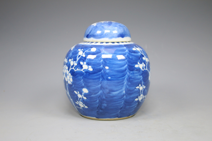古玩陶瓷清晚期·青花留白折枝冰梅紋蓋罐真品鑒賞圖