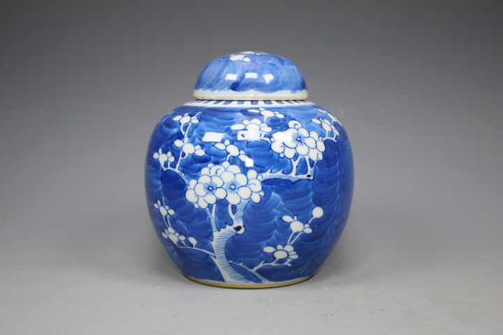 古玩陶瓷清晚期·青花留白折枝冰梅紋蓋罐真品鑒賞圖