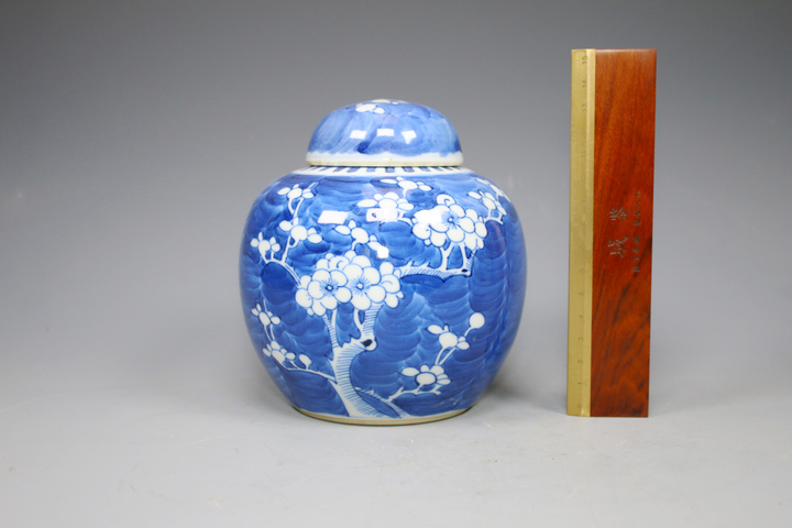 古玩陶瓷清晚期·青花留白折枝冰梅紋蓋罐真品鑒賞圖