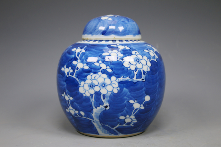 古玩陶瓷清晚期·青花留白折枝冰梅紋蓋罐真品鑒賞圖