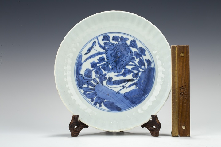 古玩陶瓷明晚·青花花鳥紋花口盤真品鑒賞圖