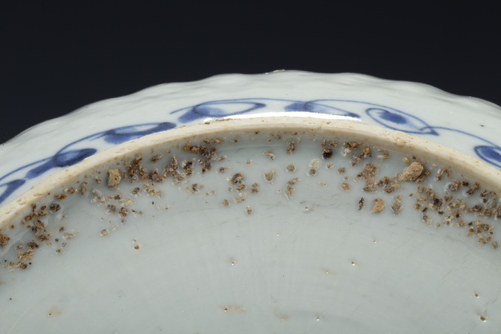 古玩陶瓷明晚·青花花鳥紋花口盤真品鑒賞圖