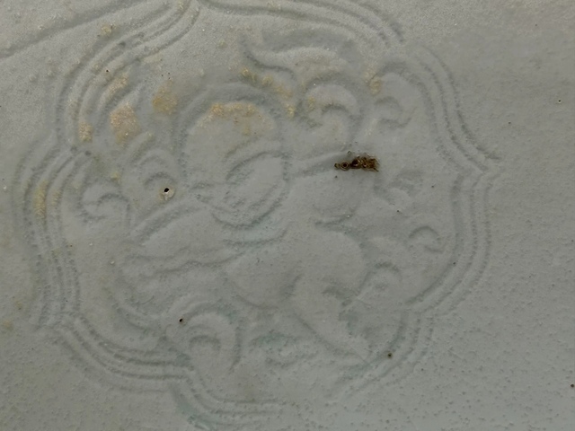 古玩陶瓷南宋湖田窯娃娃碗真品鑒賞圖