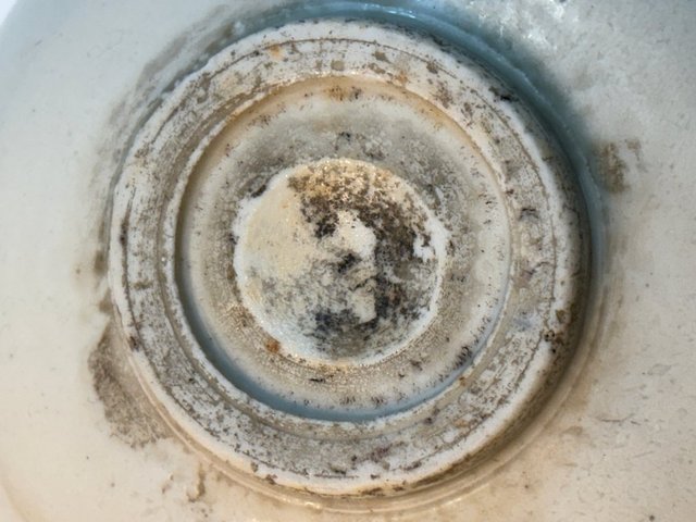 古玩陶瓷白釉洗真品鑒賞圖