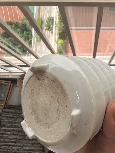 古玩陶瓷幾十年的白釉旋紋德化窯三足爐真品鑒賞圖