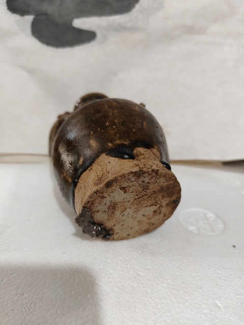 古玩陶瓷雞首壺真品鑒賞圖