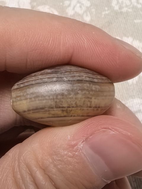 古玩玉器纏絲瑪瑙珠真品鑒賞圖