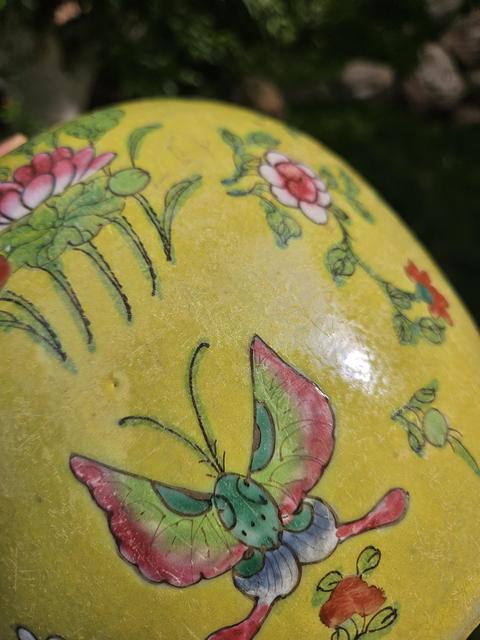 古玩陶瓷花蝶紋粉彩罐真品鑒賞圖
