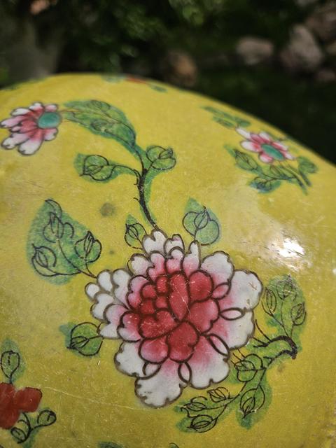 古玩陶瓷花蝶紋粉彩罐真品鑒賞圖