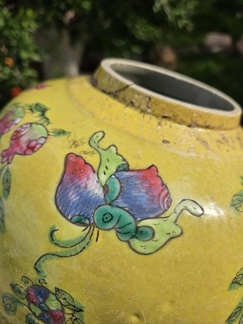 古玩陶瓷花蝶紋粉彩罐真品鑒賞圖
