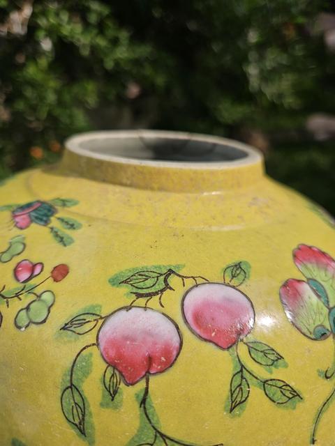 古玩陶瓷花蝶紋粉彩罐真品鑒賞圖