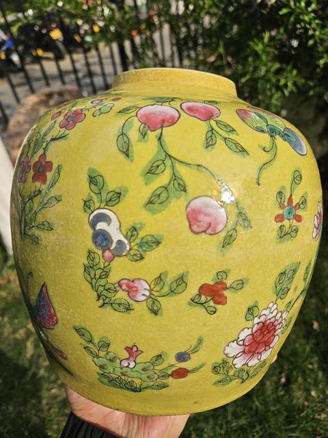 古玩陶瓷花蝶紋粉彩罐真品鑒賞圖