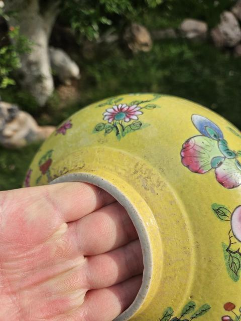 古玩陶瓷花蝶紋粉彩罐真品鑒賞圖
