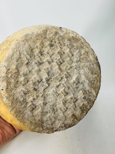古玩陶瓷齊家· 鵅面陶壺拍賣，當前價格7500元
