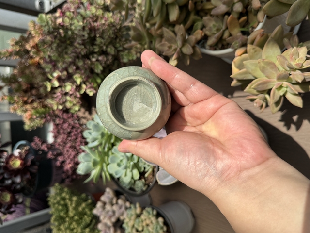 古玩陶瓷館藏級南宋青釉官窯雙耳瓶拍賣，當前價格80000元